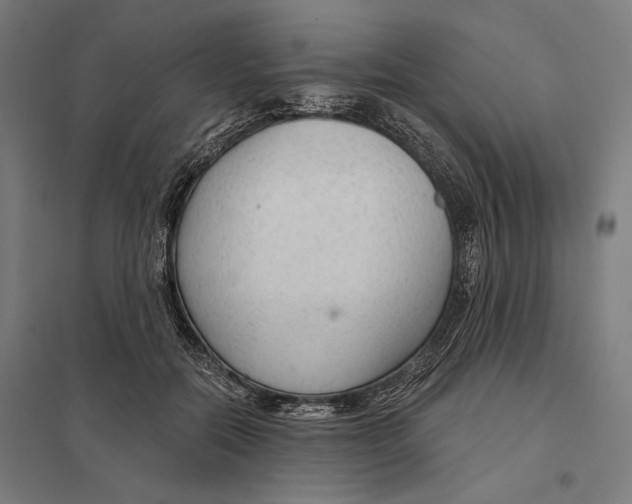 X0000097750554200803281613