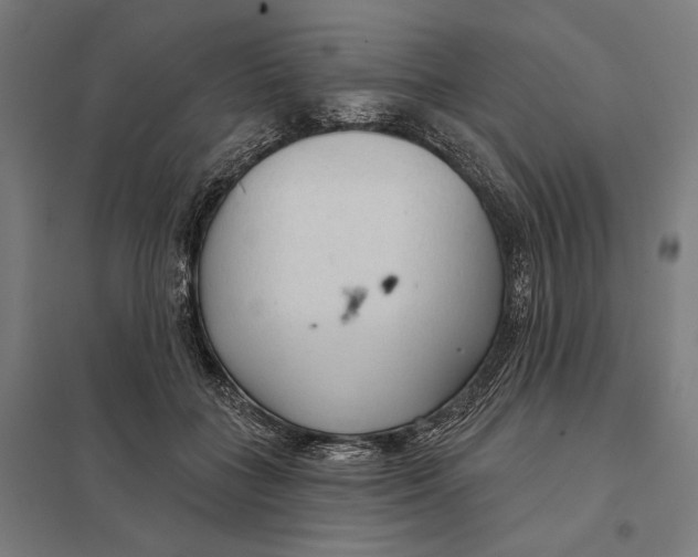 X0000097750555200803281613