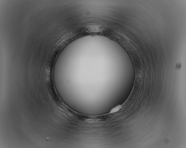 X0000097750556200803281613