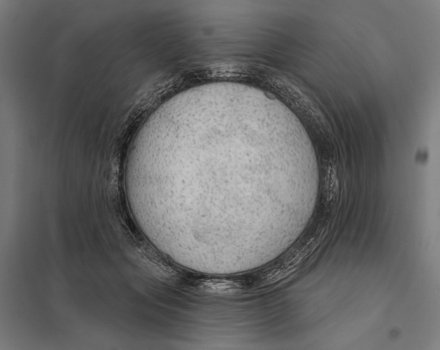 X0000097750557200803281613