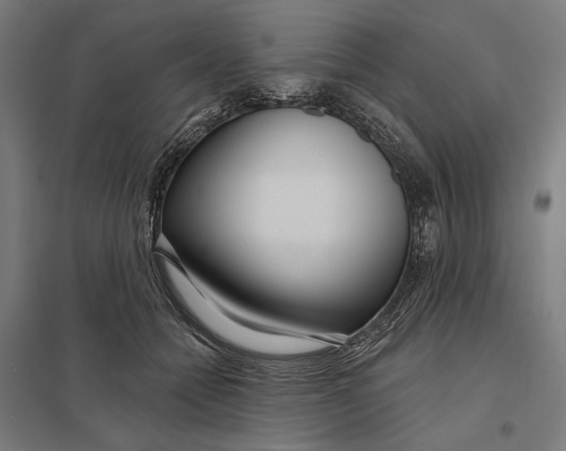 X0000097750558200803281613