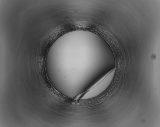 X0000097750559200803281613