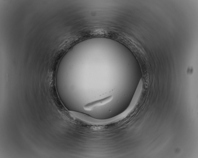 X0000097750560200803281613