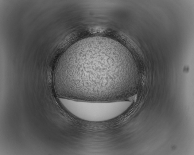 X0000097750561200803281613