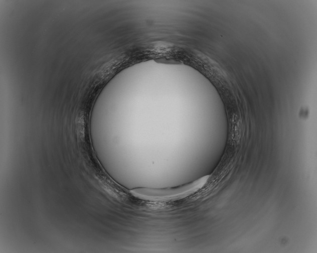 X0000097750562200803281613