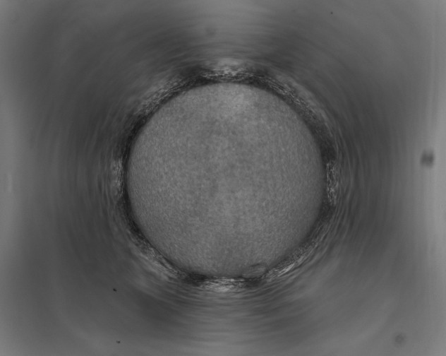 X0000097750563200803281613