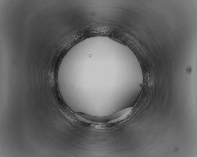 X0000097750564200803281613