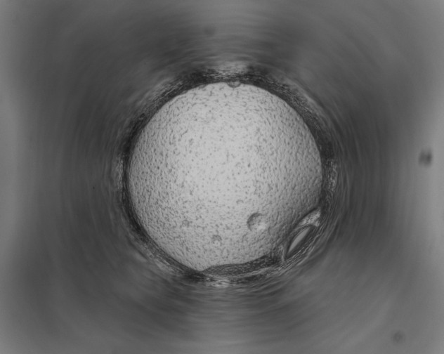 X0000097750565200803281613