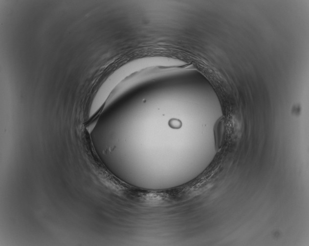 X0000097750566200803281613