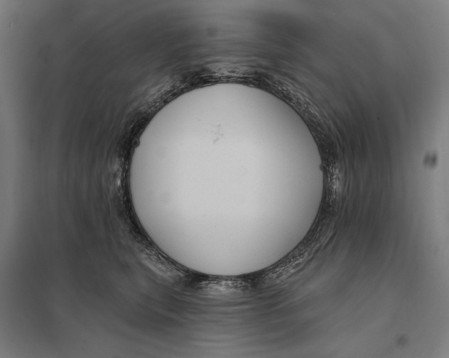 X0000097750567200803281613