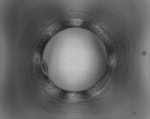 X0000097750568200803281613