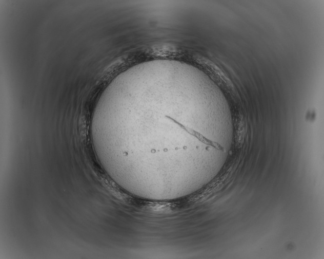 X0000097750569200803281613