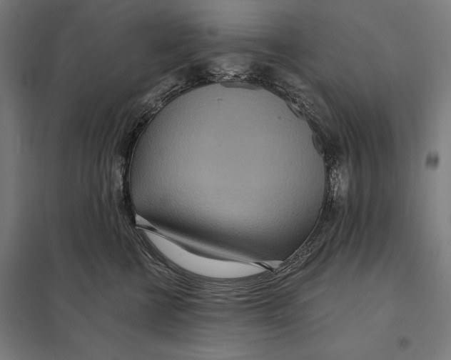 X0000097750570200803281613