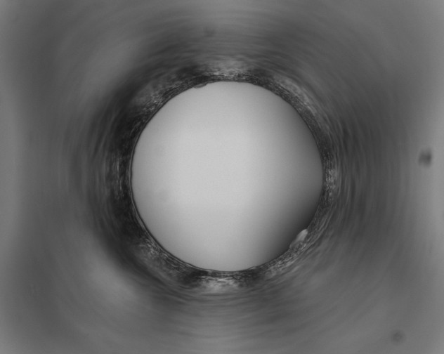 X0000097750572200803281613