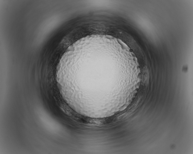 X0000097750573200803281613