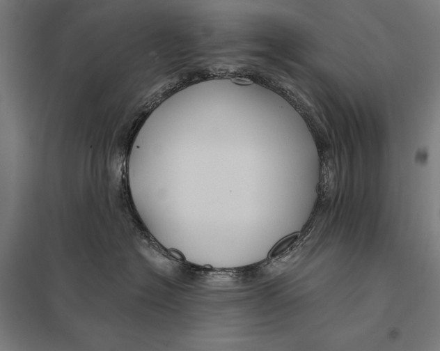 X0000097750574200803281613