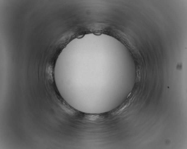 X0000097750575200803281613