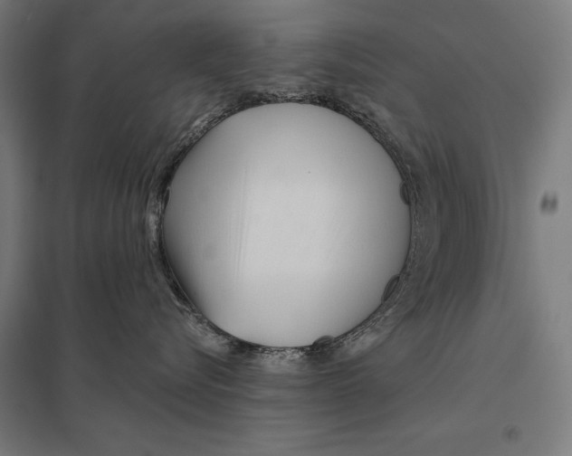 X0000097750576200803281613