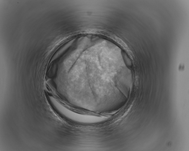 X0000097750577200803281612