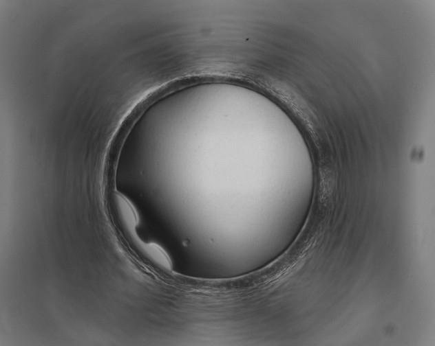 X0000097750580200803281612