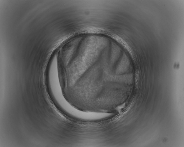 X0000097750581200803281612