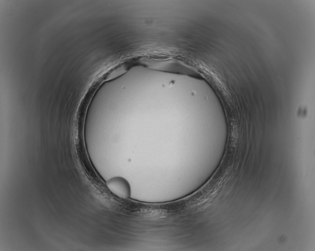 X0000097750582200803281612