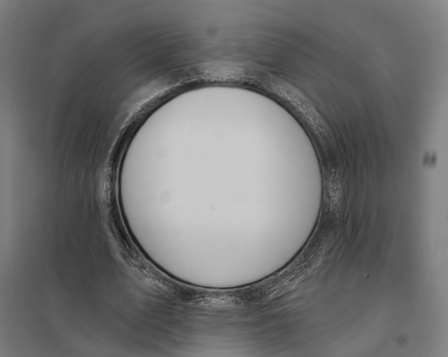 X0000097750583200803281612