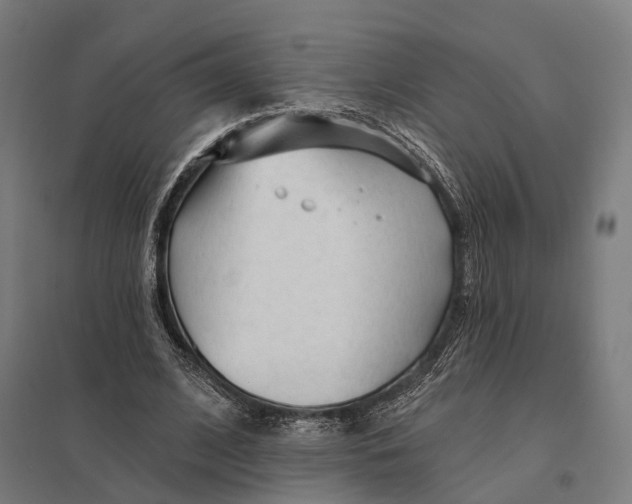 X0000097750584200803281612