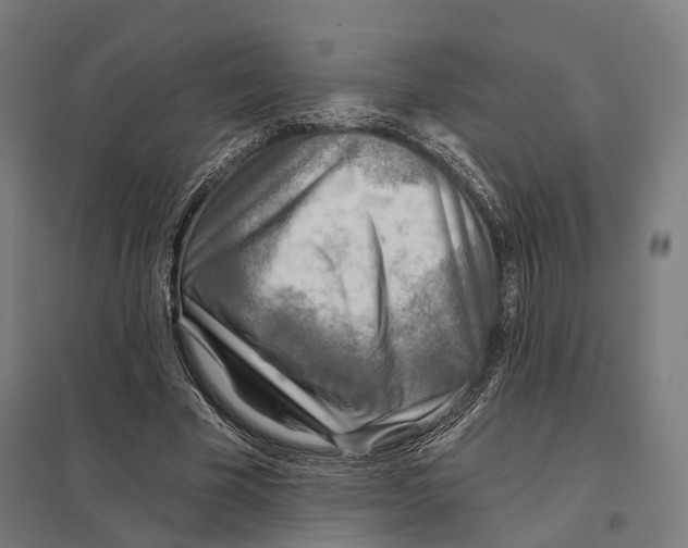 X0000097750585200803281612