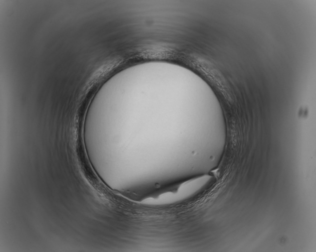 X0000097750586200803281612