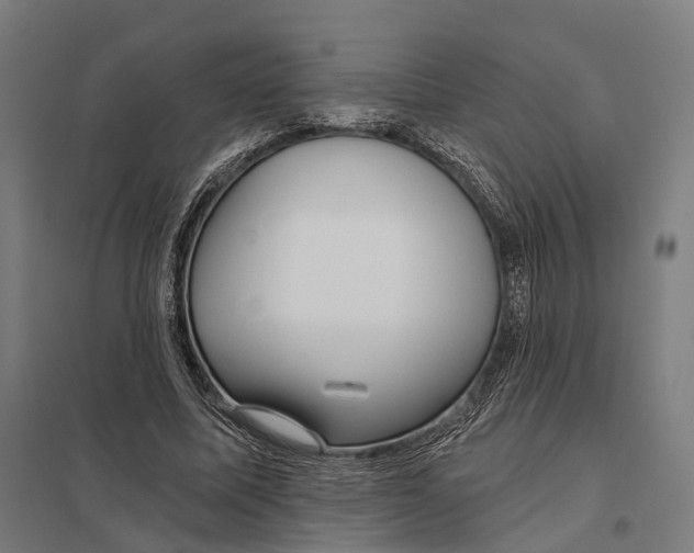 X0000097750587200803281612