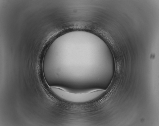 X0000097750588200803281612