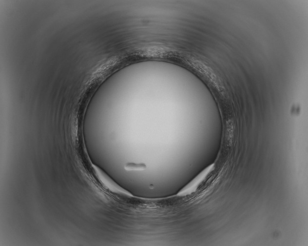 X0000097750589200803281612