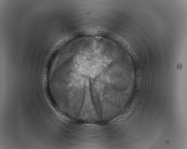 X0000097750590200803281612