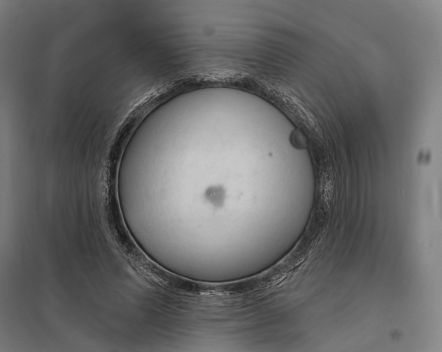 X0000097750591200803281612