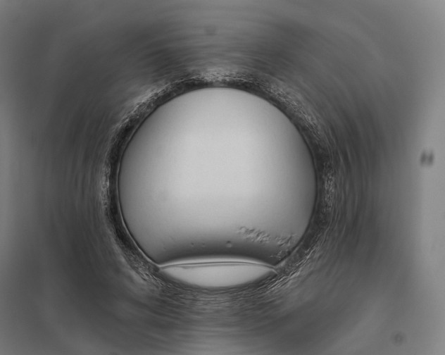 X0000097750592200803281612