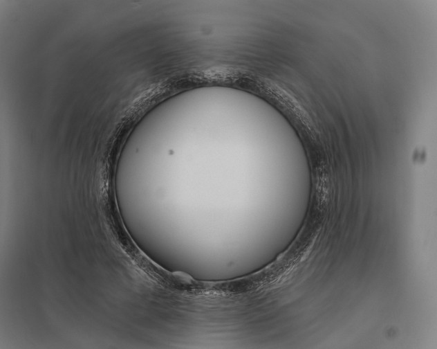 X0000097750593200803281612