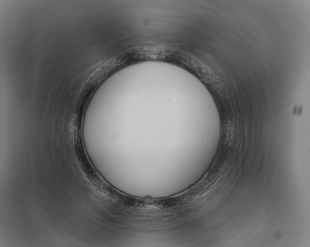 X0000097750594200803281612