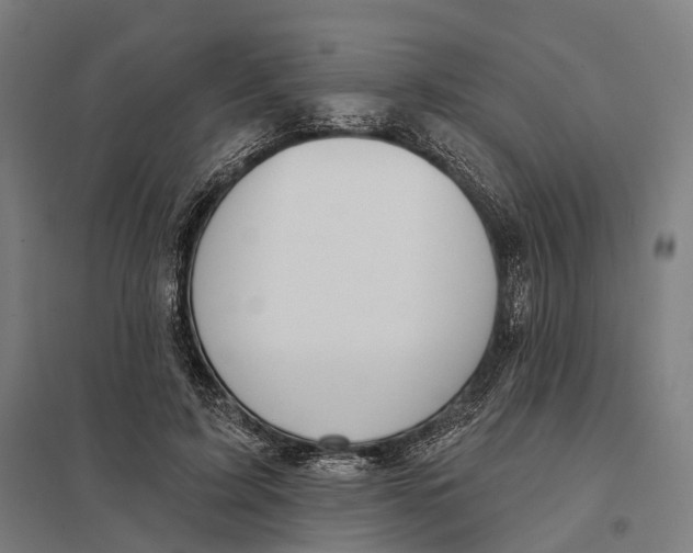 X0000097750595200803281612