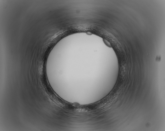 X0000097750596200803281612