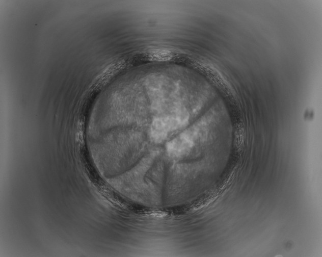 X0000097750598200803281612