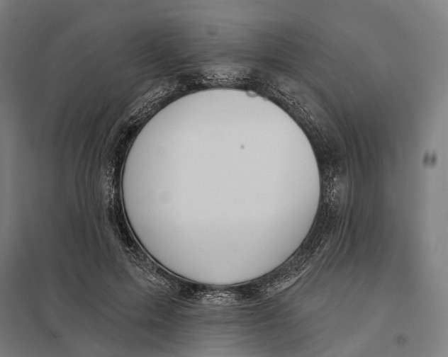 X0000097750599200803281612