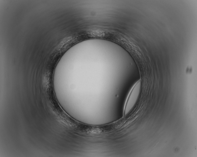 X0000097750600200803281612