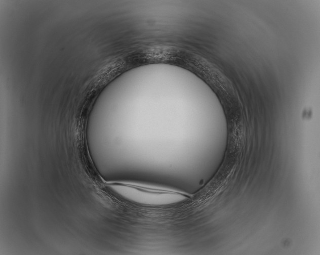 X0000097750601200803281612