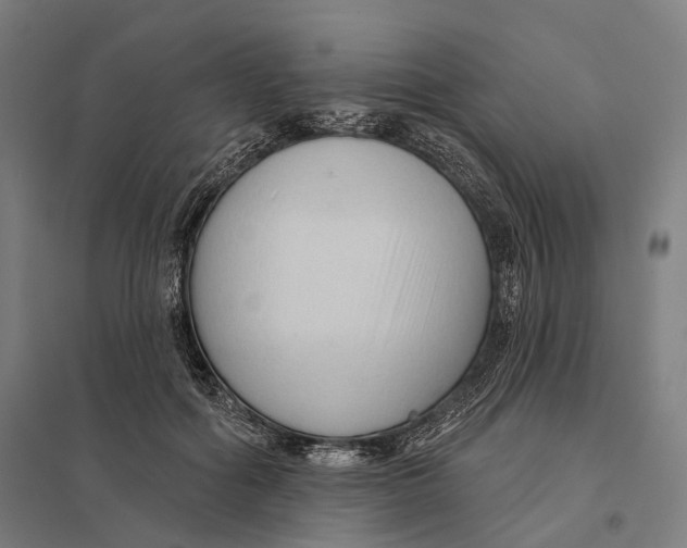 X0000097750602200803281612