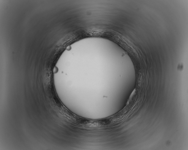 X0000097750604200803281612