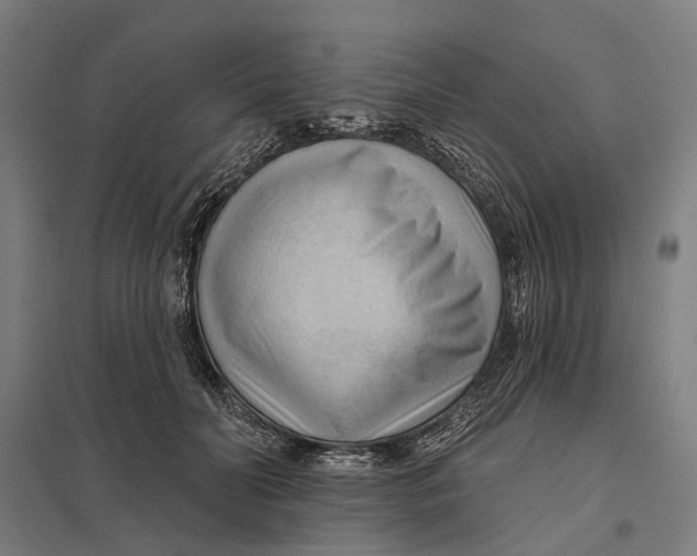 X0000097750606200803281612