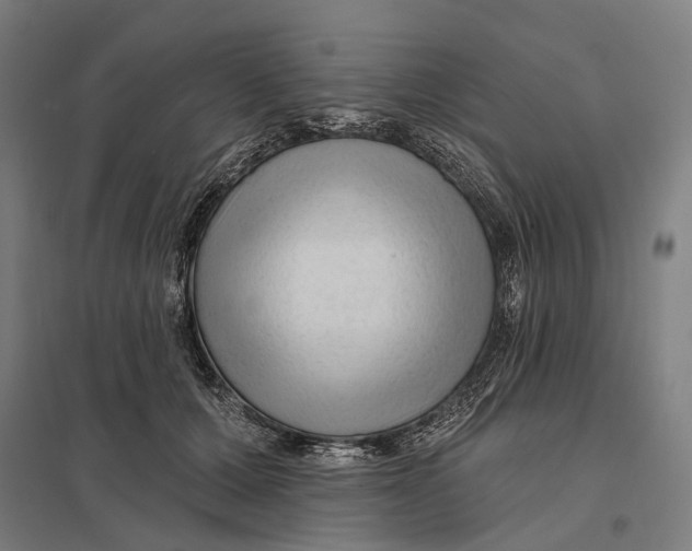 X0000097750607200803281612