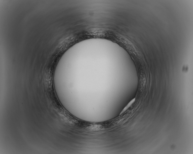 X0000097750609200803281612