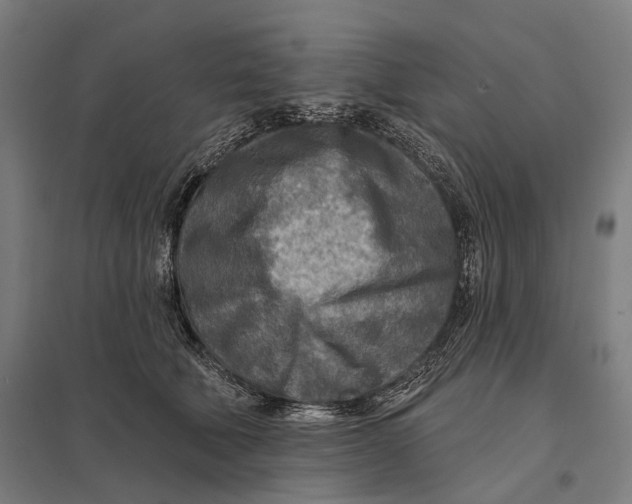 X0000097750610200803281612